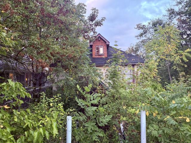 September 25, 2025 - IMG_6300.JPEG