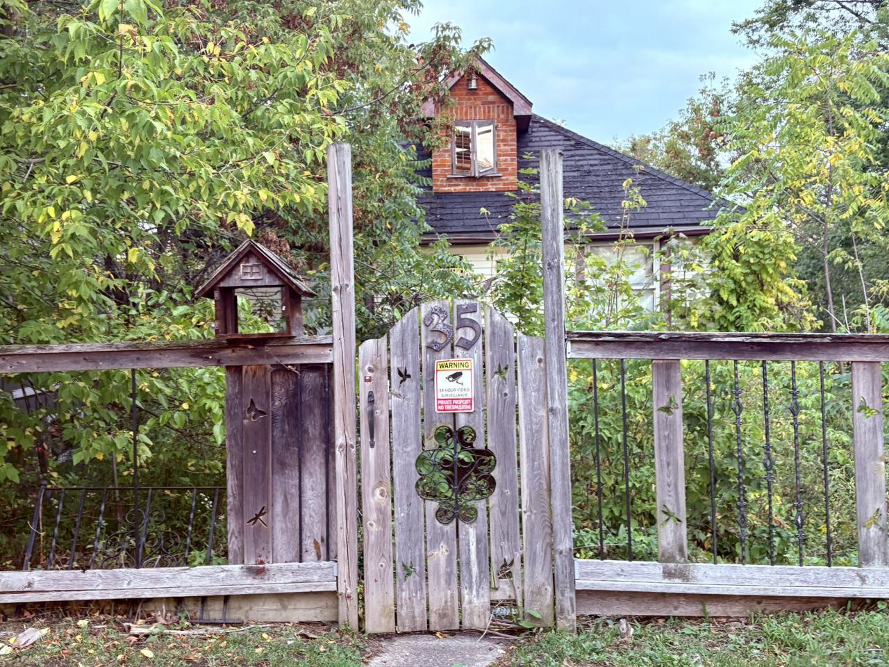 September 25, 2025 - IMG_6299.JPEG