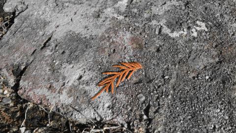 Epic Waterfall - DSC_0528.JPG