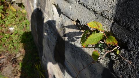 Epic Waterfall - DSC_0522.JPG