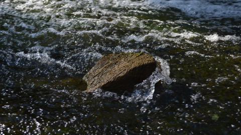 Epic Waterfall - DSC_0519.JPG