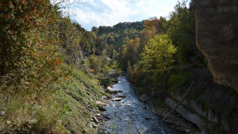 Epic Waterfall - DSC_0510.JPG