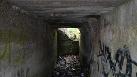 Epic Waterfall - DSC_0493.JPG