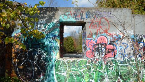 Epic Waterfall - DSC_0490.JPG