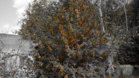 Epic Waterfall - DSC_0489.JPG