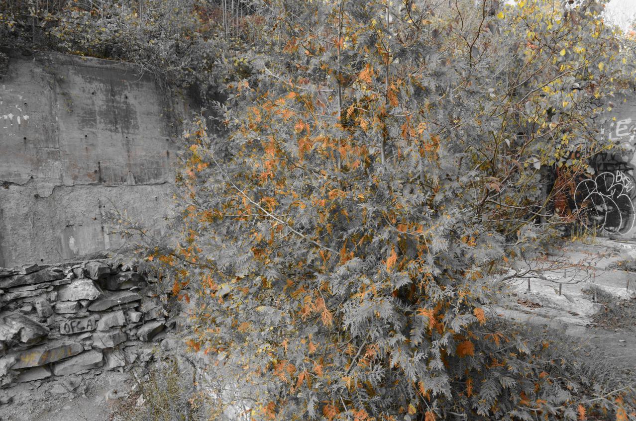 Epic Waterfall - DSC_0488.JPG