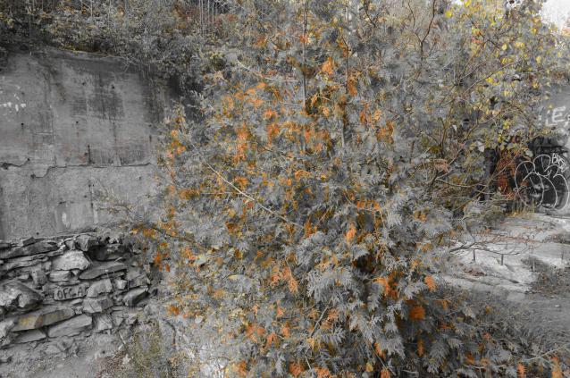 Epic Waterfall - DSC_0488.JPG