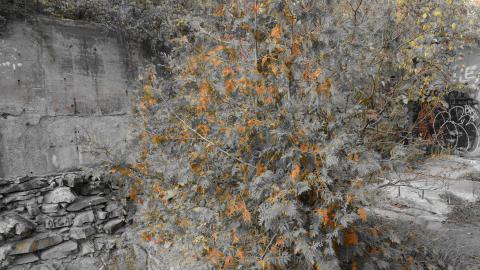 Epic Waterfall - DSC_0488.JPG