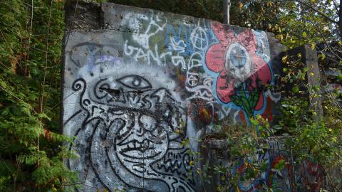 Epic Waterfall - DSC_0486.JPG