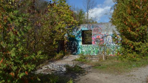 Epic Waterfall - DSC_0483.JPG