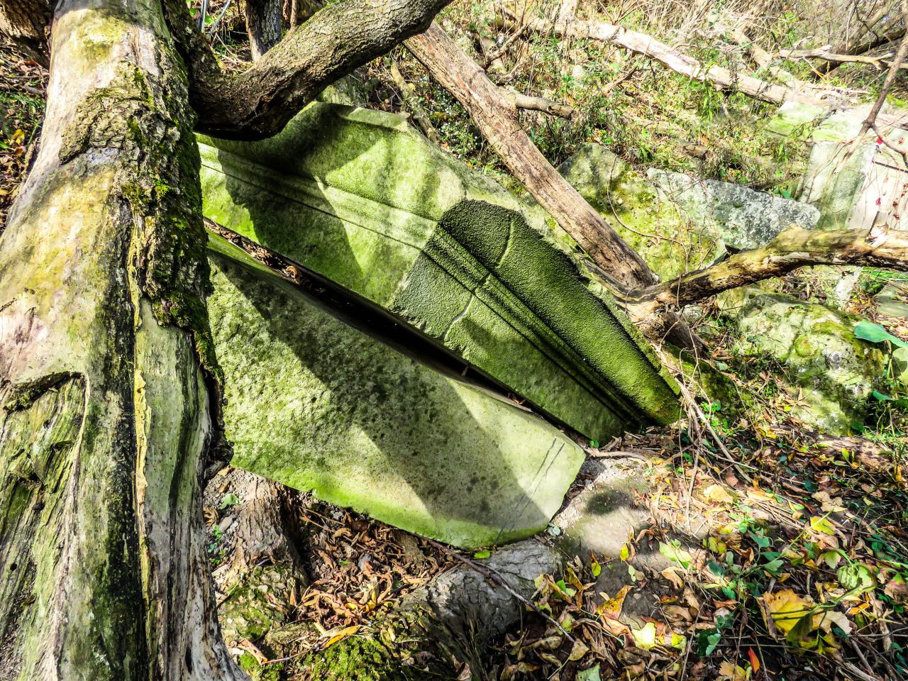 Bank of Canada Pillar Ruins - 001b.jpg