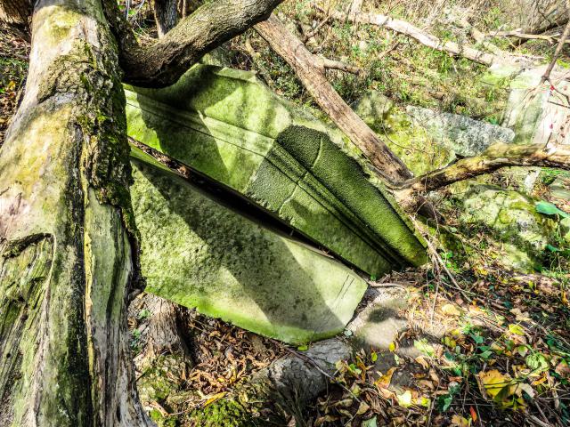Bank of Canada Pillar Ruins - 001b.jpg