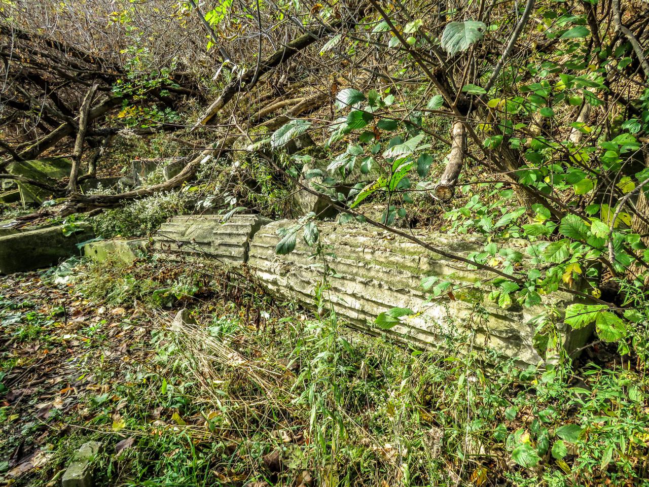 Bank of Canada Pillar Ruins - 003a.jpg