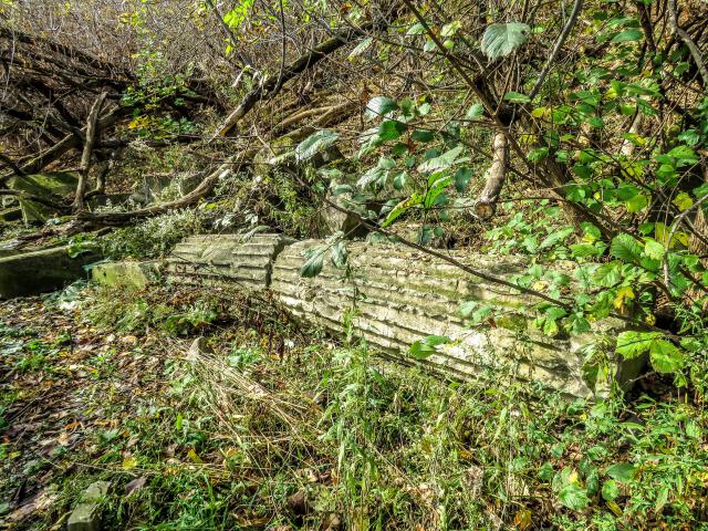 Bank of Canada Pillar Ruins - 003a.jpg