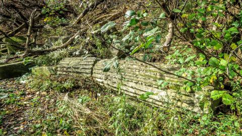 Bank of Canada Pillar Ruins (c. 1874) photo 3