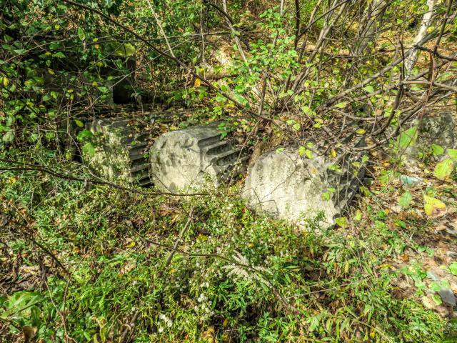 Bank of Canada Pillar Ruins - 007.jpg