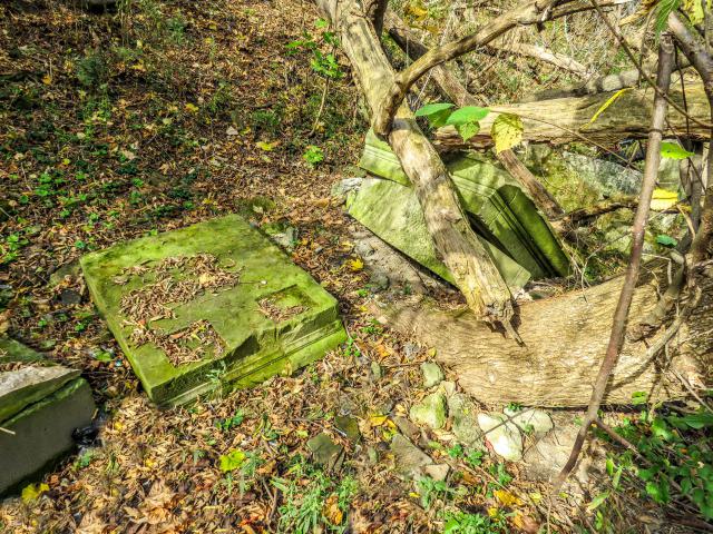 Bank of Canada Pillar Ruins - 008.jpg