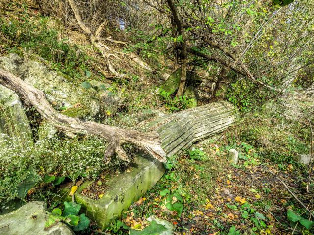 Bank of Canada Pillar Ruins - 009.jpg