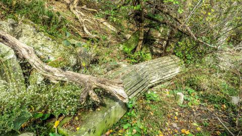 Bank of Canada Pillar Ruins - 009.jpg