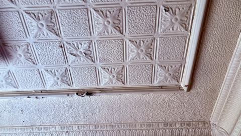 Interior Photos - IMG_6839.JPEG