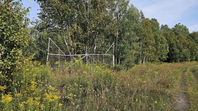 Orenda's Empty Lot photo 3