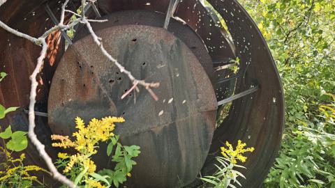 When the Wind (tunnel) Blows - 20250909_161402.jpg