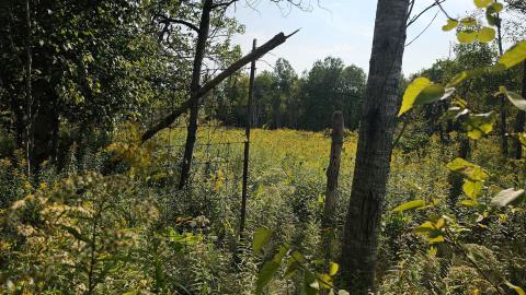 When the Wind (tunnel) Blows - 20250909_161412.jpg