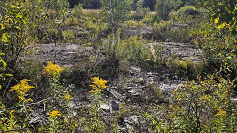 When the Wind (tunnel) Blows - 20250909_162235.jpg