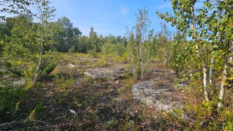 When the Wind (tunnel) Blows - 20250909_162317.jpg