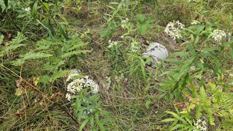 When the Wind (tunnel) Blows - 20250909_163540.jpg