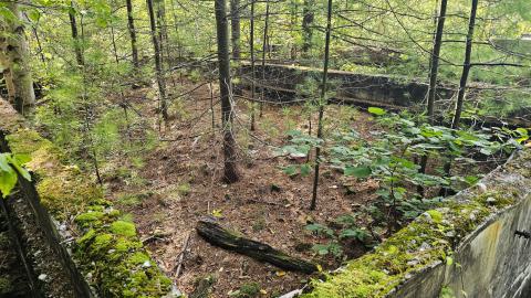 When the Wind (tunnel) Blows - 20250909_164058.jpg