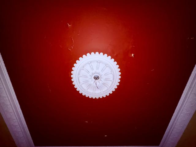 Saturday, October 4, 2025 - IMG_7045.jpg