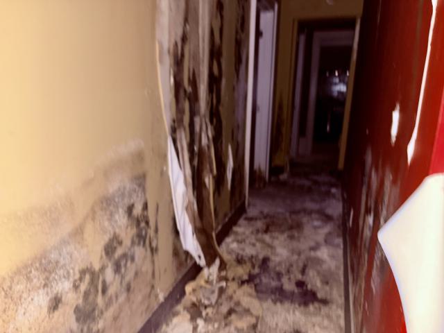 Saturday, October 4, 2025 - IMG_7065.jpg