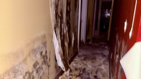 Saturday, October 4, 2025 - IMG_7065.jpg