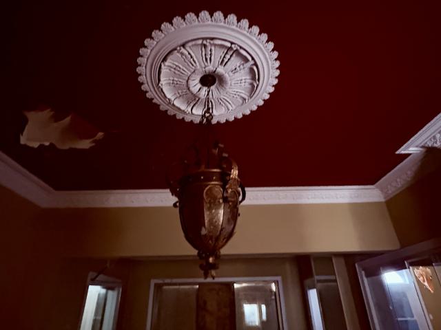 Saturday, October 4, 2025 - IMG_7079.jpg