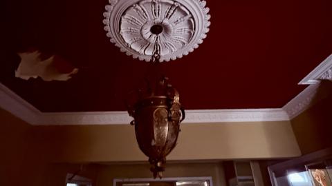 Saturday, October 4, 2025 - IMG_7079.jpg