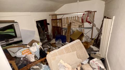 Saturday, October 4, 2025 - IMG_7116.jpg