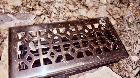 Saturday, October 4, 2025 - IMG_7075.jpg