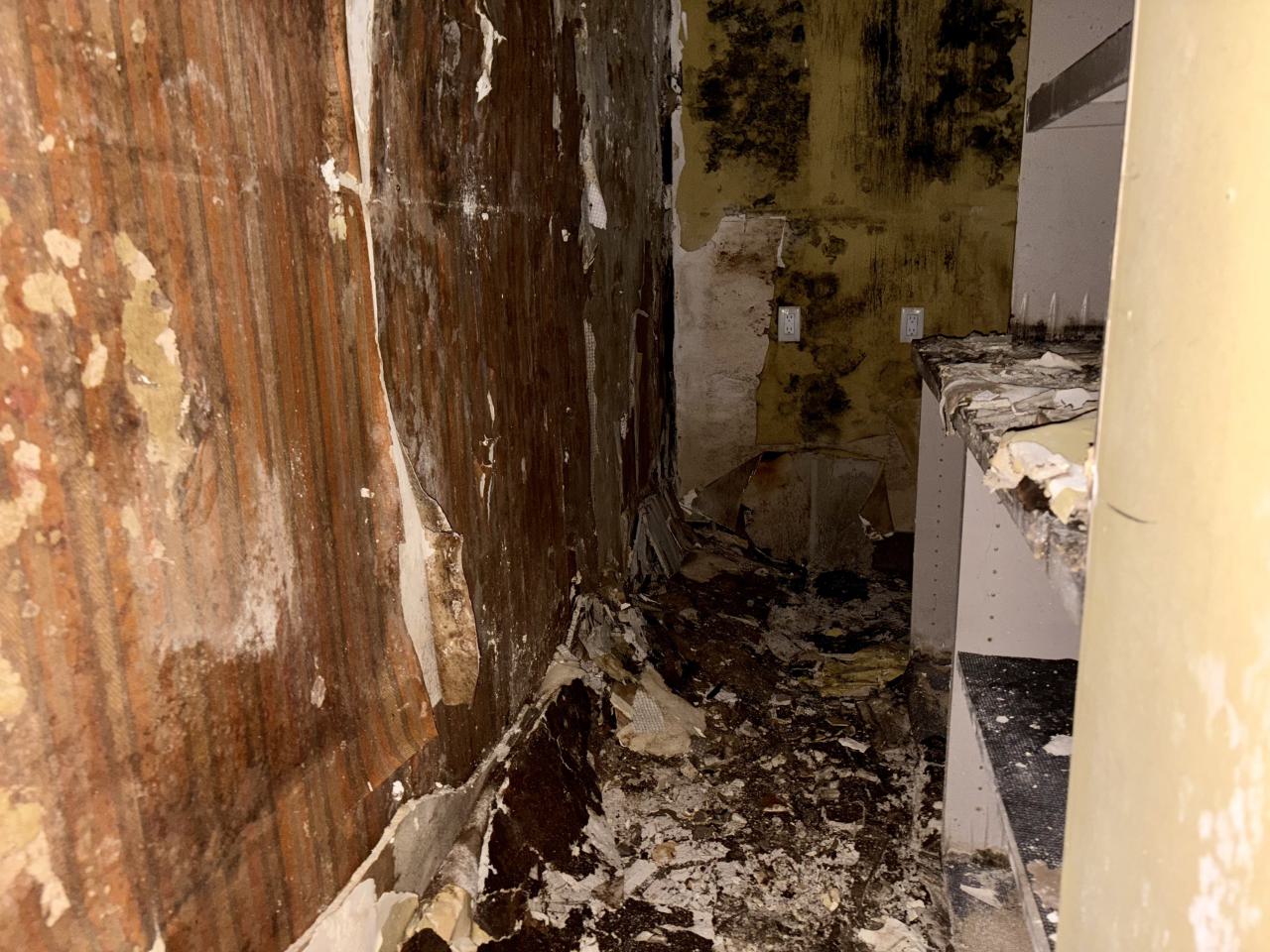 Saturday, October 4, 2025 - IMG_7067.jpg