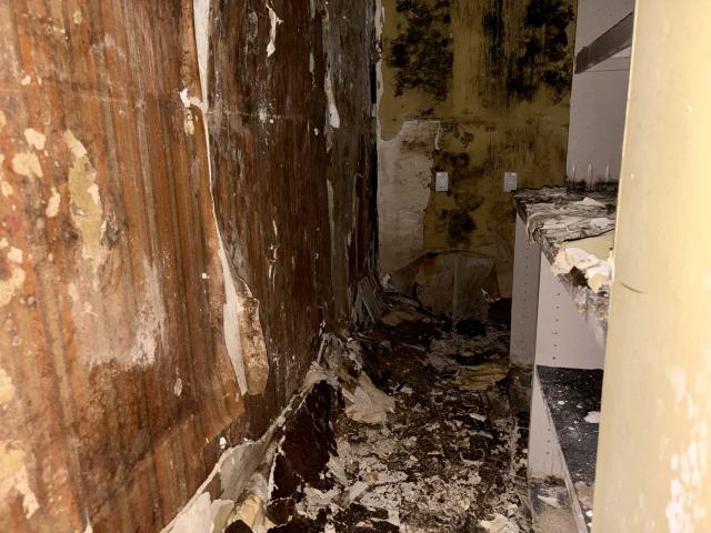 Saturday, October 4, 2025 - IMG_7067.jpg