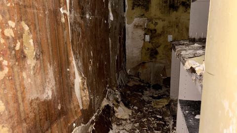 Saturday, October 4, 2025 - IMG_7067.jpg