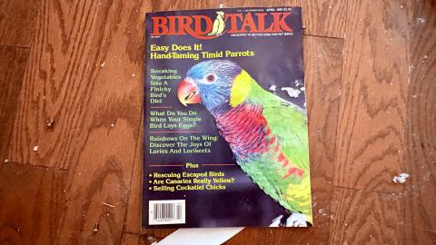 Saturday, October 4, 2025 - IMG_7097.jpg