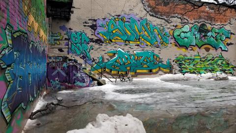 Gotta Catch Em All - January 2019 - 2.jpg