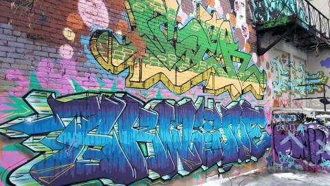 Gotta Catch Em All - January 2019 - 5.jpg