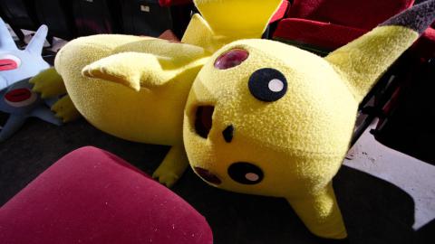 Gotta Catch Em All - January 2019 - 23.jpg