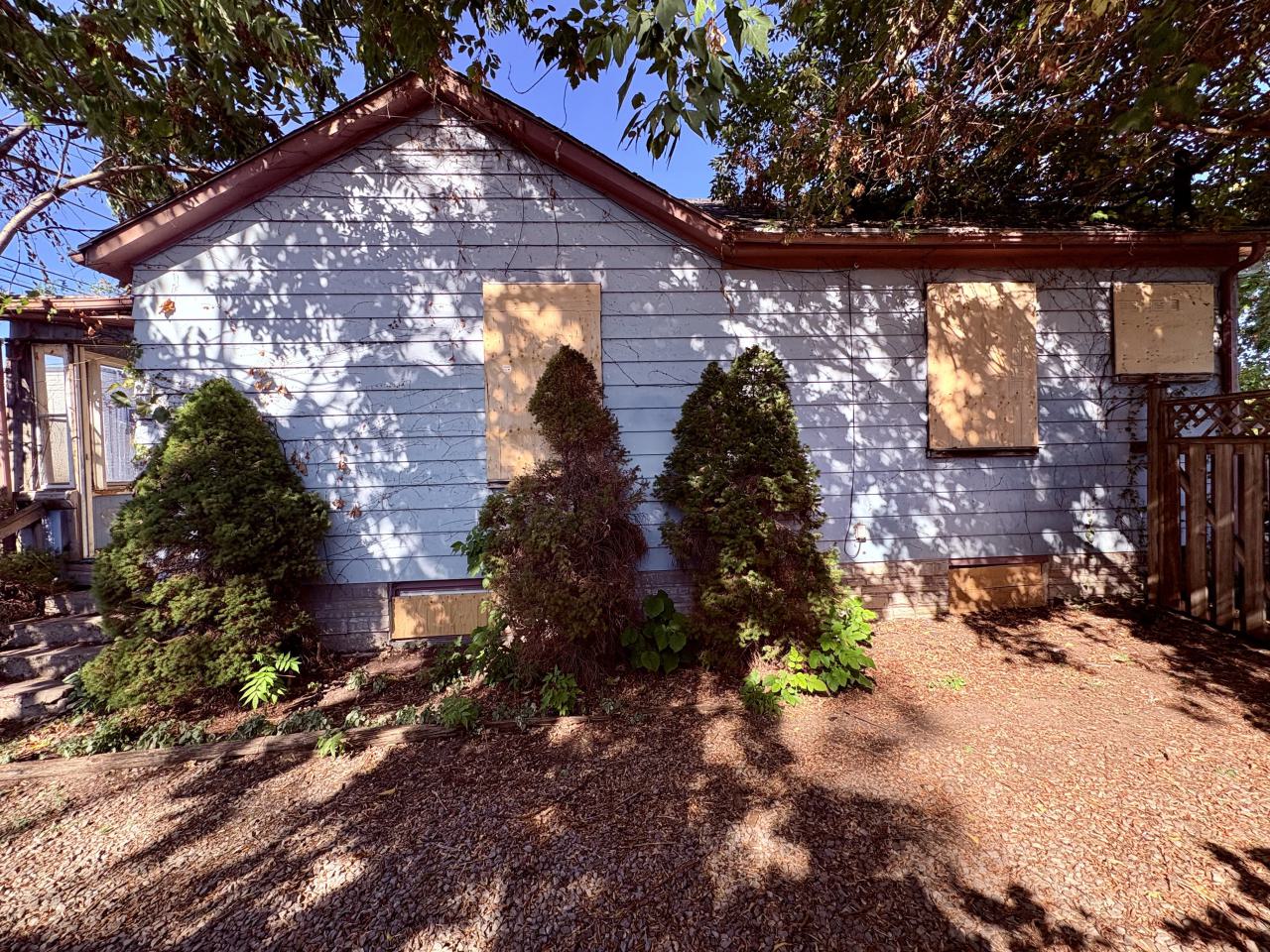 October 6, 2025 - IMG_7534.jpg