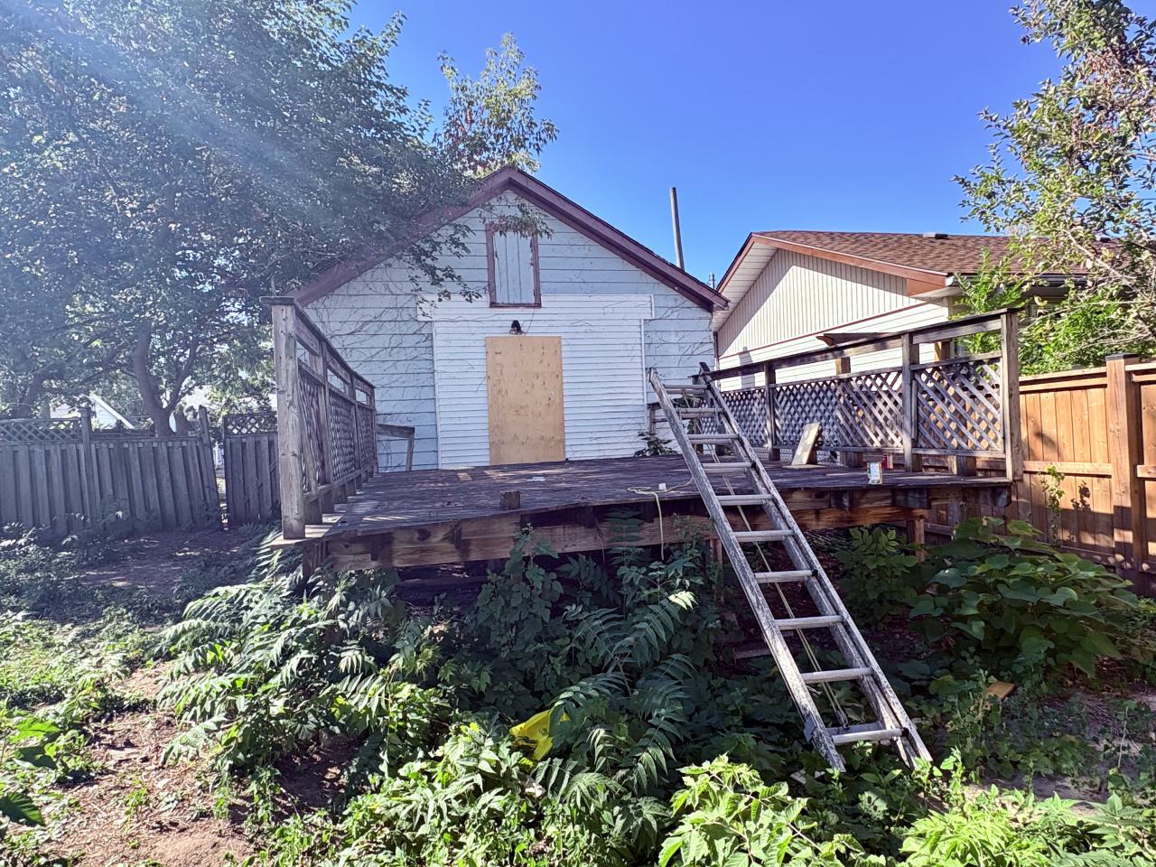 October 6, 2025 - IMG_7537.jpg