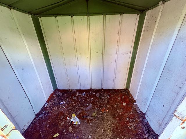 October 6, 2025 - IMG_7540.jpg