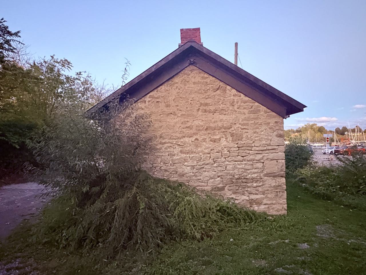 October 8, 2025 - IMG_7666.jpg