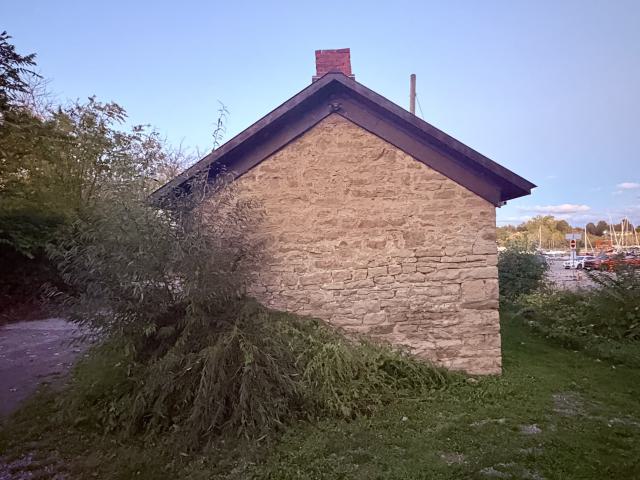 October 8, 2025 - IMG_7666.jpg